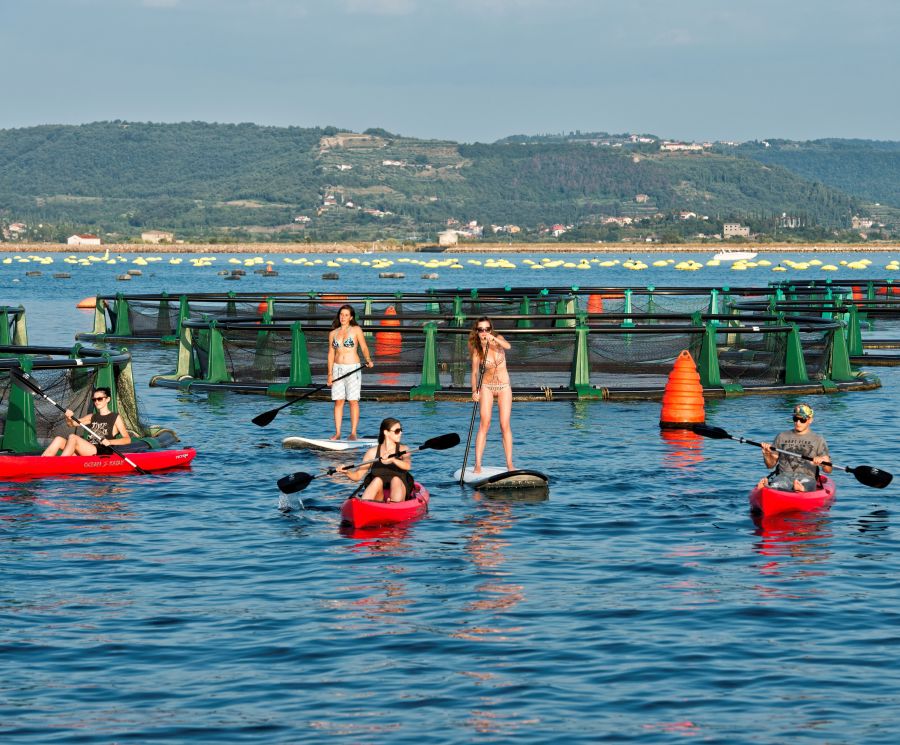Ogled ribogojnice